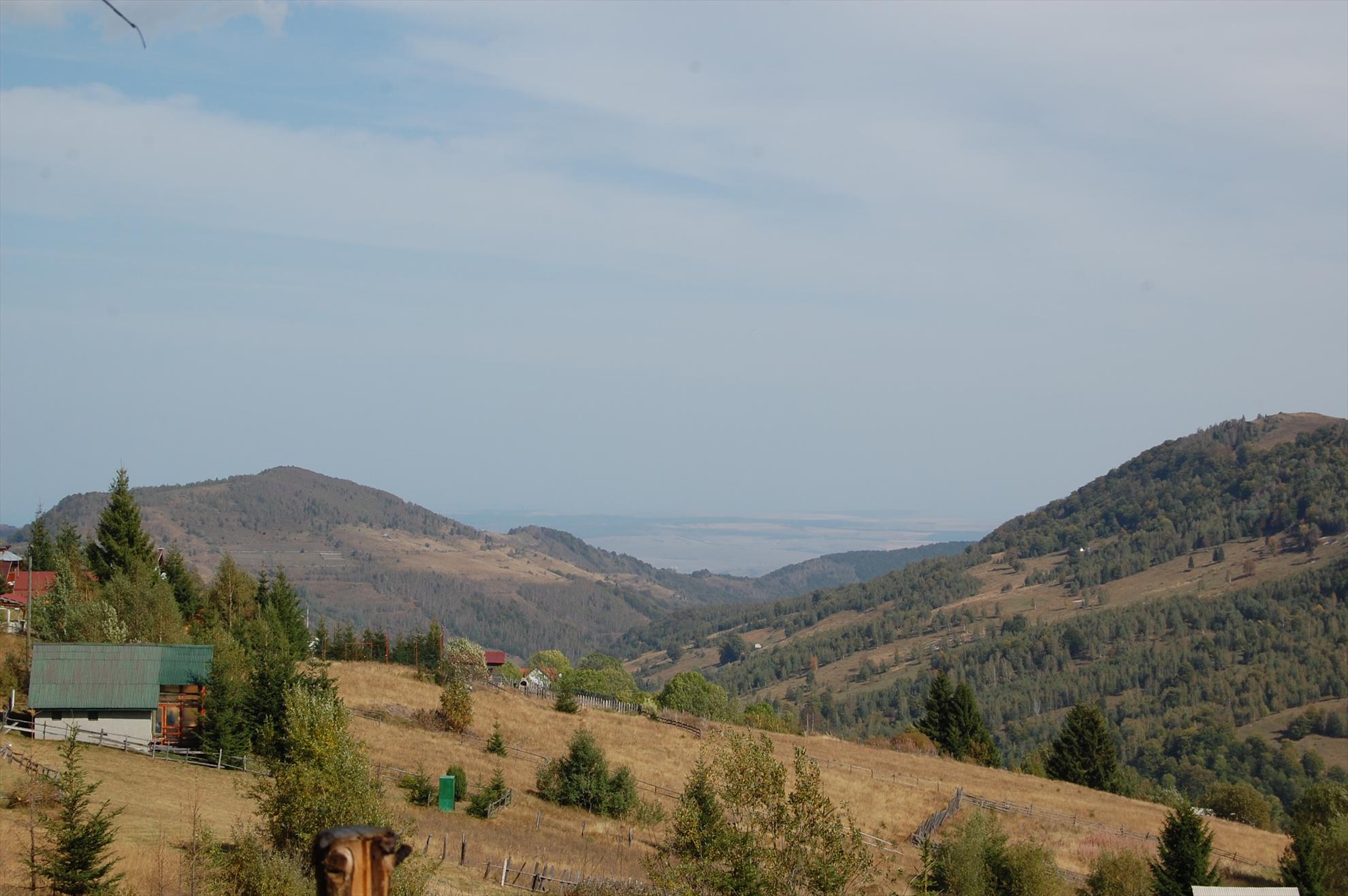 My new passion...2 - dsc002211.JPG